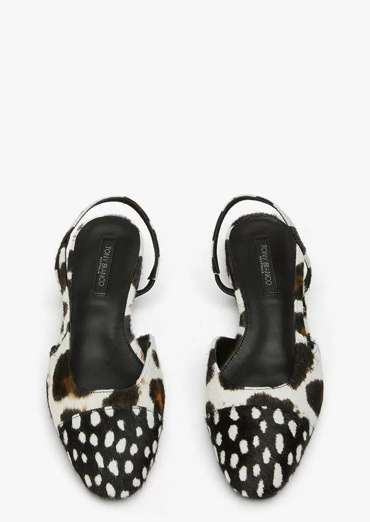 Pixie Snow Leopard/Black Speckle