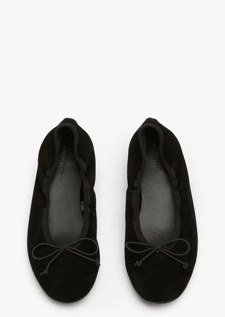 Moma Black Suede